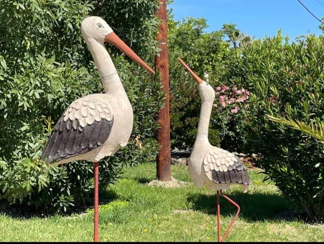 Posada De La Plata Valdesalor Dış mekan fotoğraf
